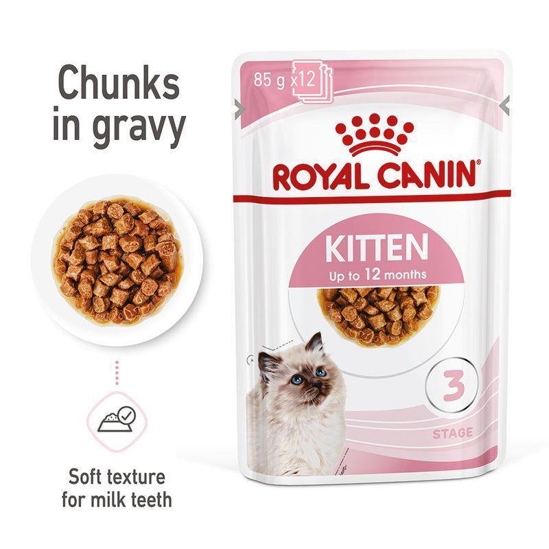 RC Cat Dog Gravy