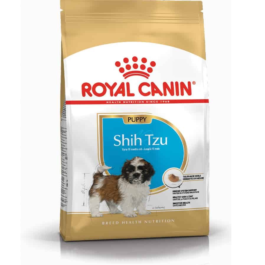 RC Shih Tzu Adult Puppy